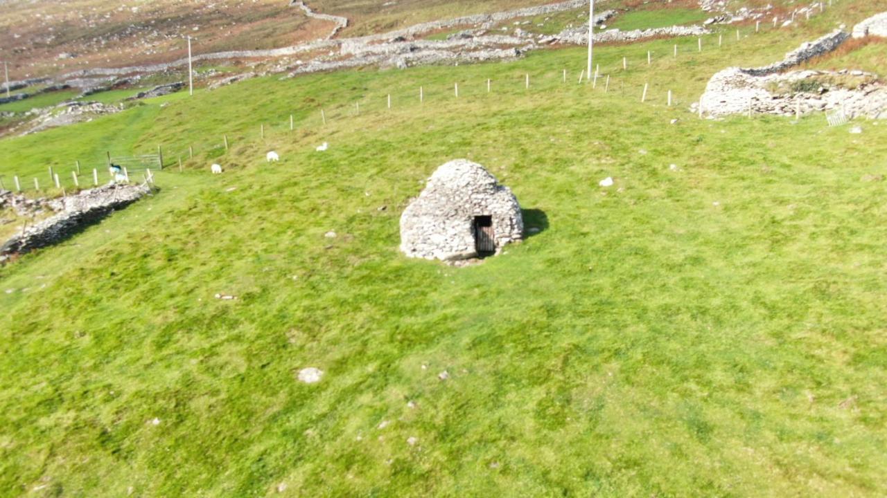 Old Irish Farmhouse ディングル エクステリア 写真