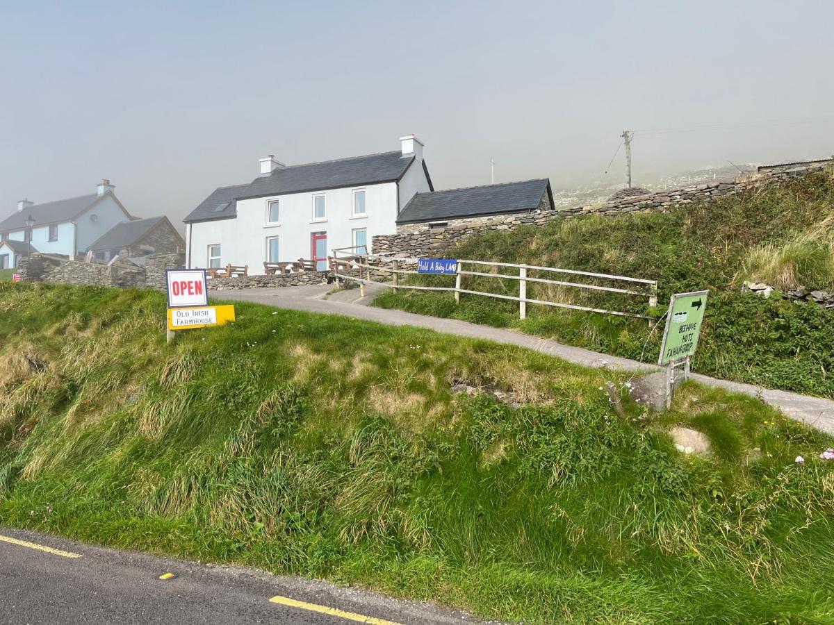 Old Irish Farmhouse ディングル エクステリア 写真