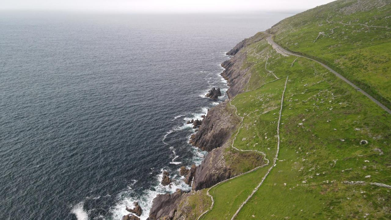 Old Irish Farmhouse ディングル エクステリア 写真