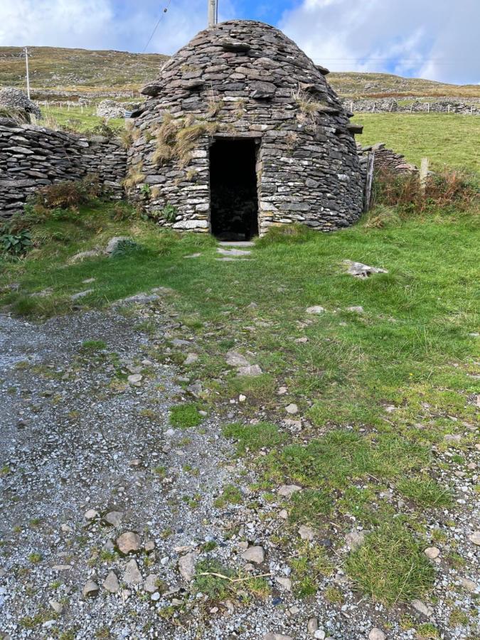Old Irish Farmhouse ディングル エクステリア 写真