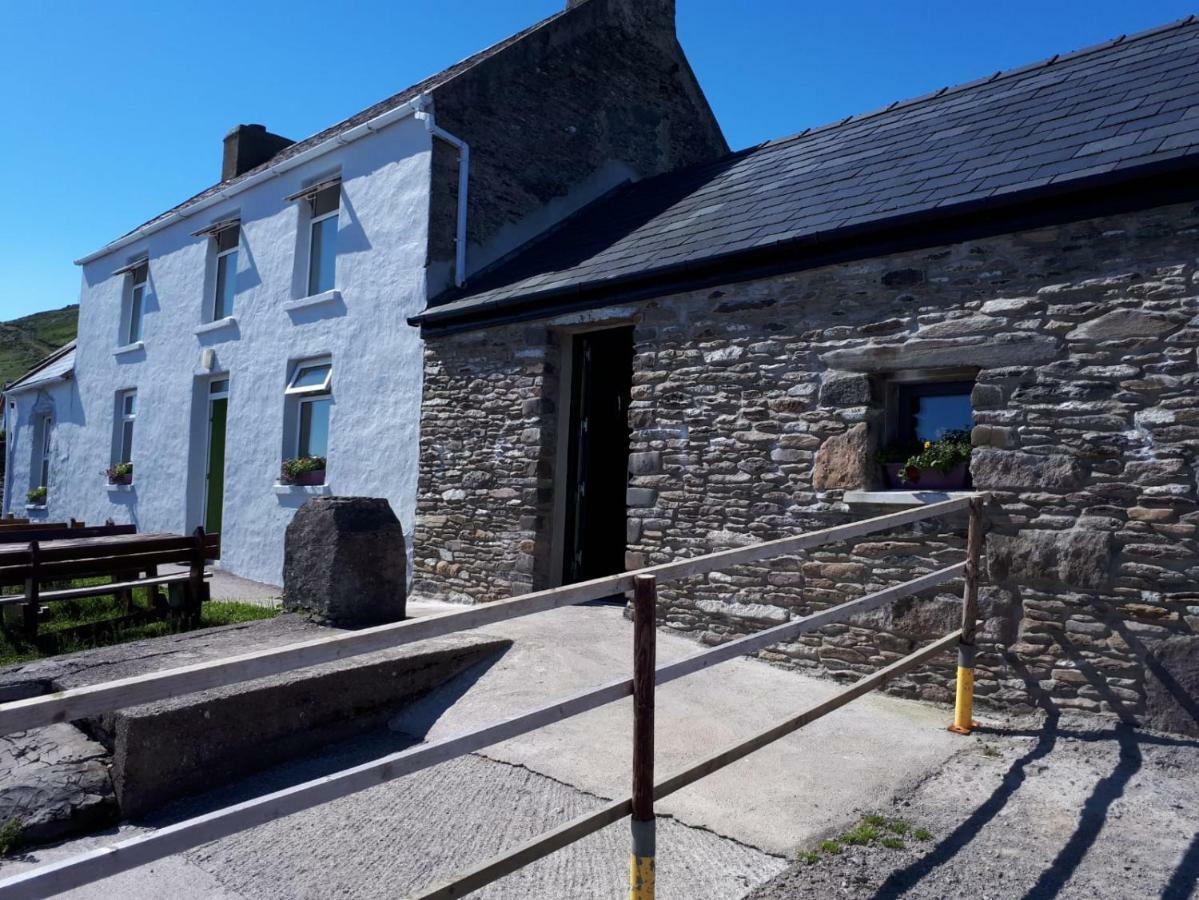 Old Irish Farmhouse ディングル エクステリア 写真